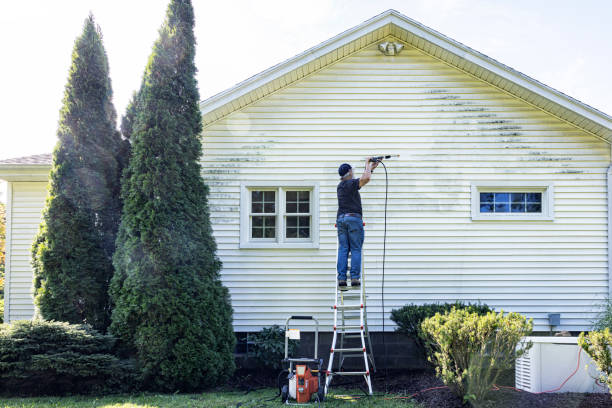 Best Building Exterior Washing  in Sherman, TX